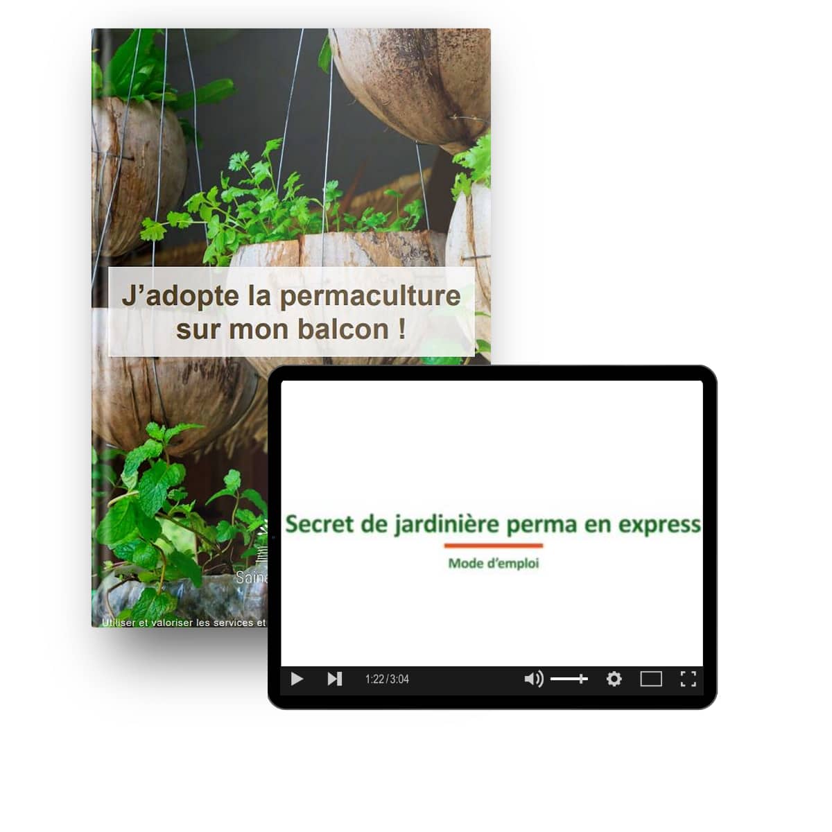 dossier-ortie-jardin